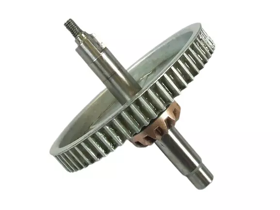 Miniatura 1